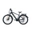 Elektrinis BARTON Jack plus 19" / Grey